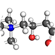 Acetyl-L-Carnitine