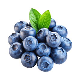 Wild blueberry
